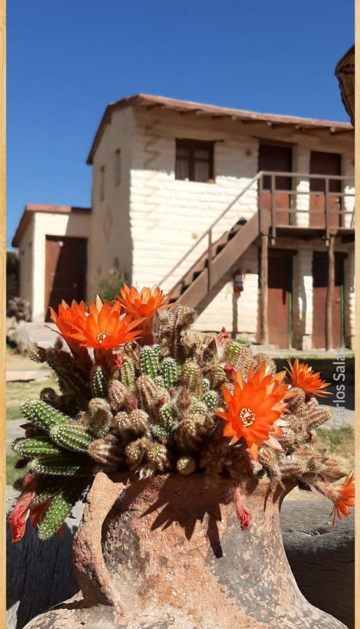 El Sol Hostel De Humahuaca Εξωτερικό φωτογραφία